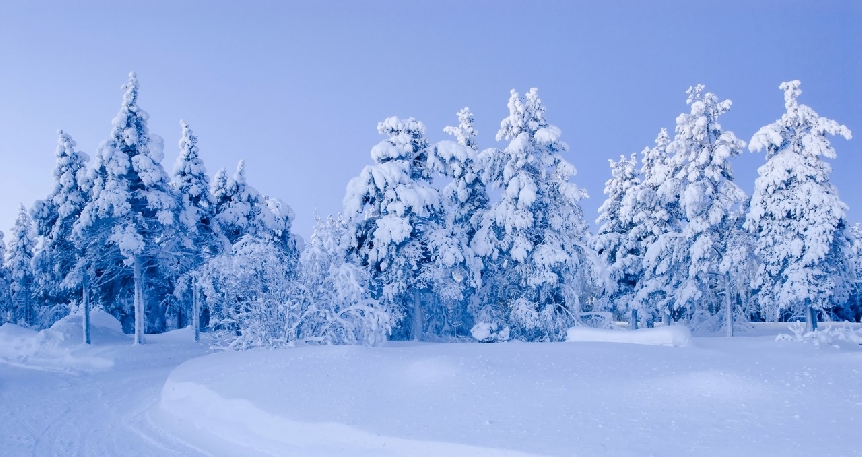 Yılbaşında Lapland Turu