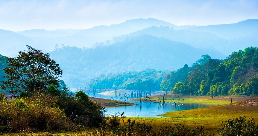 Güney Hindistan: Kerala & Tamil Nadu 