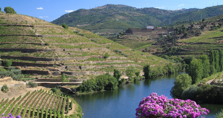 Douro Nehrinde Portekiz ve Bask Turu